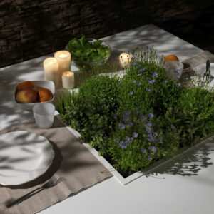 Cena tavolo quadrato con fioriera